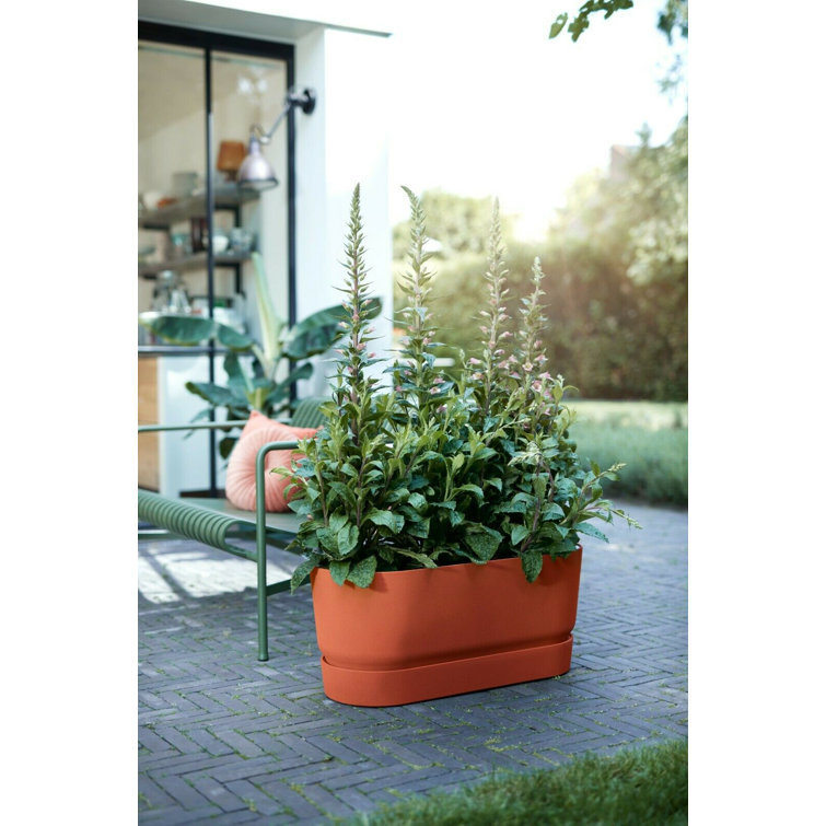 Dakota Fields Elho 50Cm Plastic Terracotta Trough Planters Flower Pots